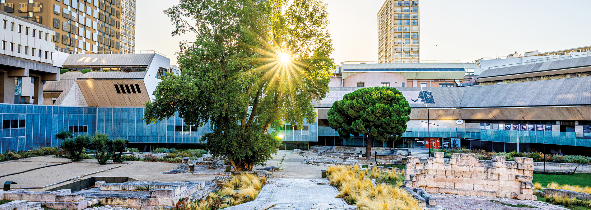 Le Musée d’Histoire de Marseille